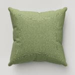 Cyrus Apple Cushion