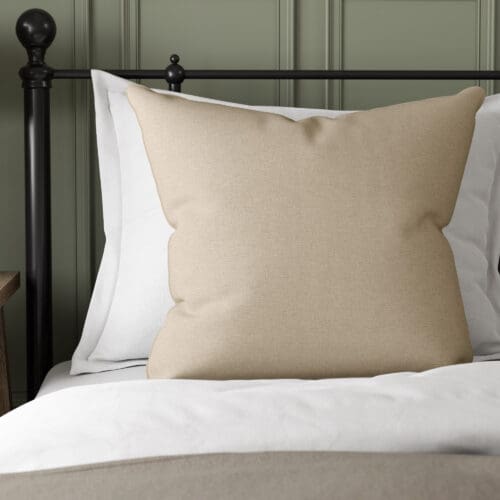 Reynolds Champagne Cushion