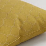 Carioca Apple Cushion