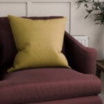 Carioca Apple Cushion