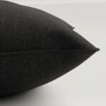 Goya Charcoal Cushion