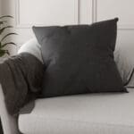 Goya Charcoal Cushion
