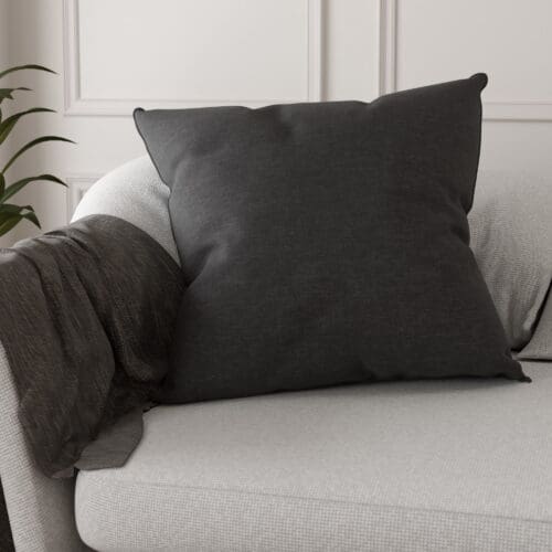 Goya Charcoal Cushion