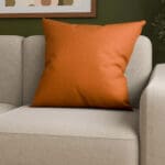 Goya Paprika Cushion