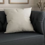 Goya Oyster Cushion