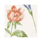 Laura Ashley Elston Garden Multi Wave Curtain