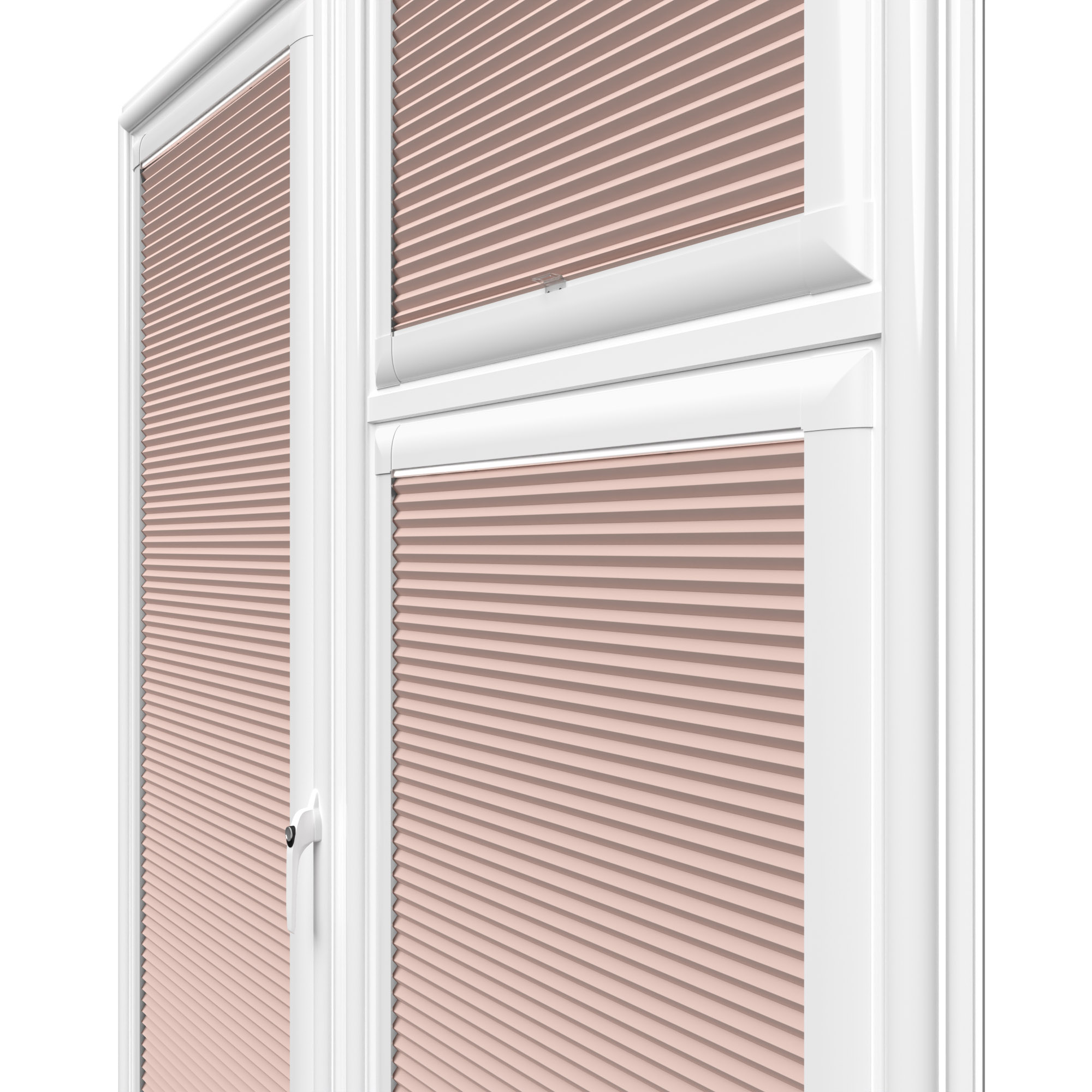 TradeChoice Blockout Orchid Perfect Fit - Image 8