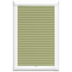 TradeChoice Plain Spring Perfect Fit