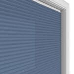 TradeChoice Dimout Neptune