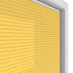 TradeChoice Dimout Saffron