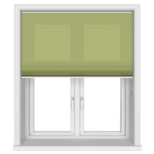TradeChoice Dimout Spring