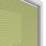 TradeChoice Dimout Spring