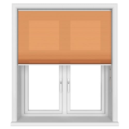 TradeChoice Dimout Terra