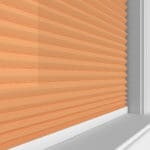 TradeChoice Dimout Terra