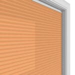 TradeChoice Dimout Terra