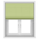 Blenheim Blockout Lime
