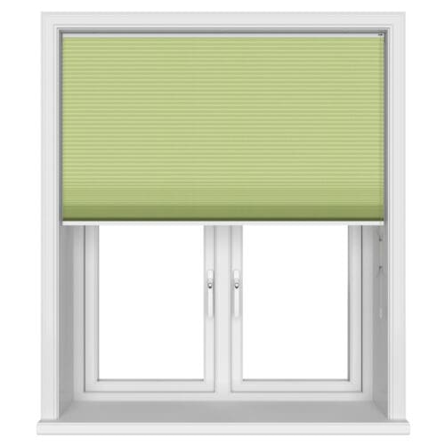 Blenheim Blockout Lime