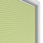 Blenheim Blockout Lime