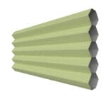 Blenheim Blockout Lime