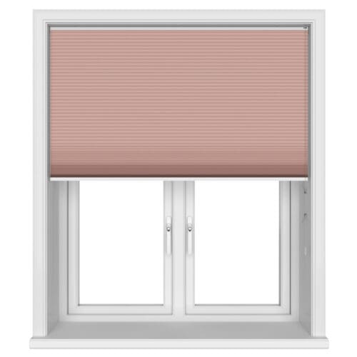 TradeChoice Blockout Orchid