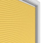 TradeChoice Blockout Saffron