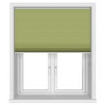 TradeChoice Blockout Spring