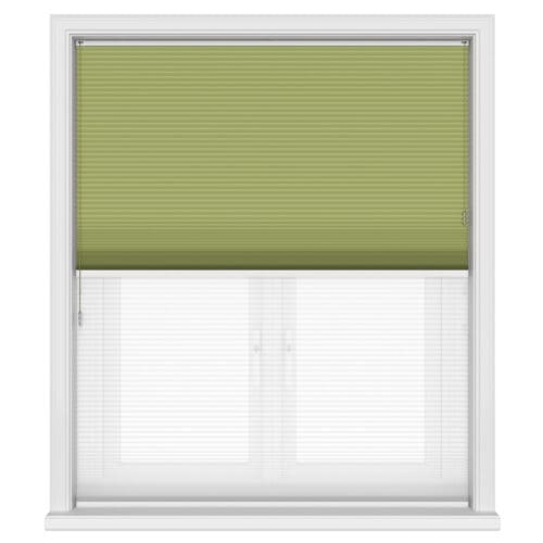 TradeChoice Blockout Spring Day & Night