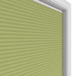 TradeChoice Blockout Spring