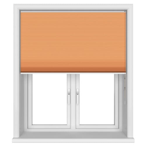 TradeChoice Blockout Terra