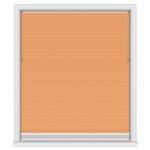TradeChoice Blockout Terra Day & Night