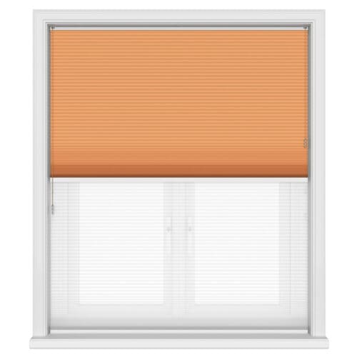 TradeChoice Blockout Terra Day & Night
