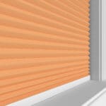 TradeChoice Blockout Terra