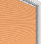 TradeChoice Blockout Terra
