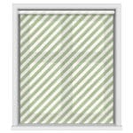 TwistFit Historic Royal Palaces Tudor Stripe Green