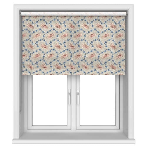 Land & Shore Lorie Blue Red