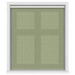 TwistFit Ted Baker Palm Geo Green