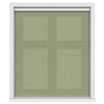 TwistFit Ted Baker Palm Geo Green Motorised