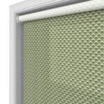 TwistFit Ted Baker Palm Geo Green