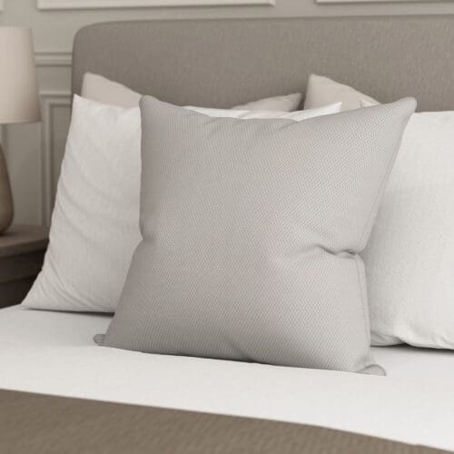 Dulcie Silver Cushion