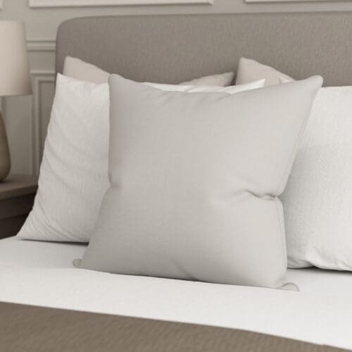 Grafton Silver Cushion