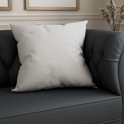 Clementine Frost Cushion